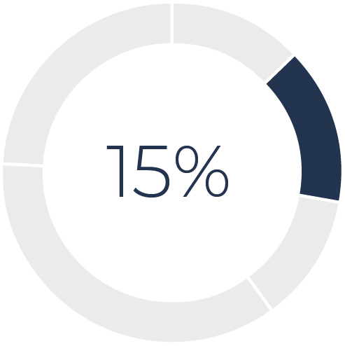 03_426974-1_piechart_CompE_AP01.jpg